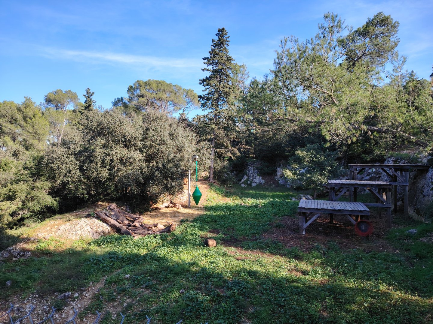 Asiatic lion (Panthera leo persica) Exhibit