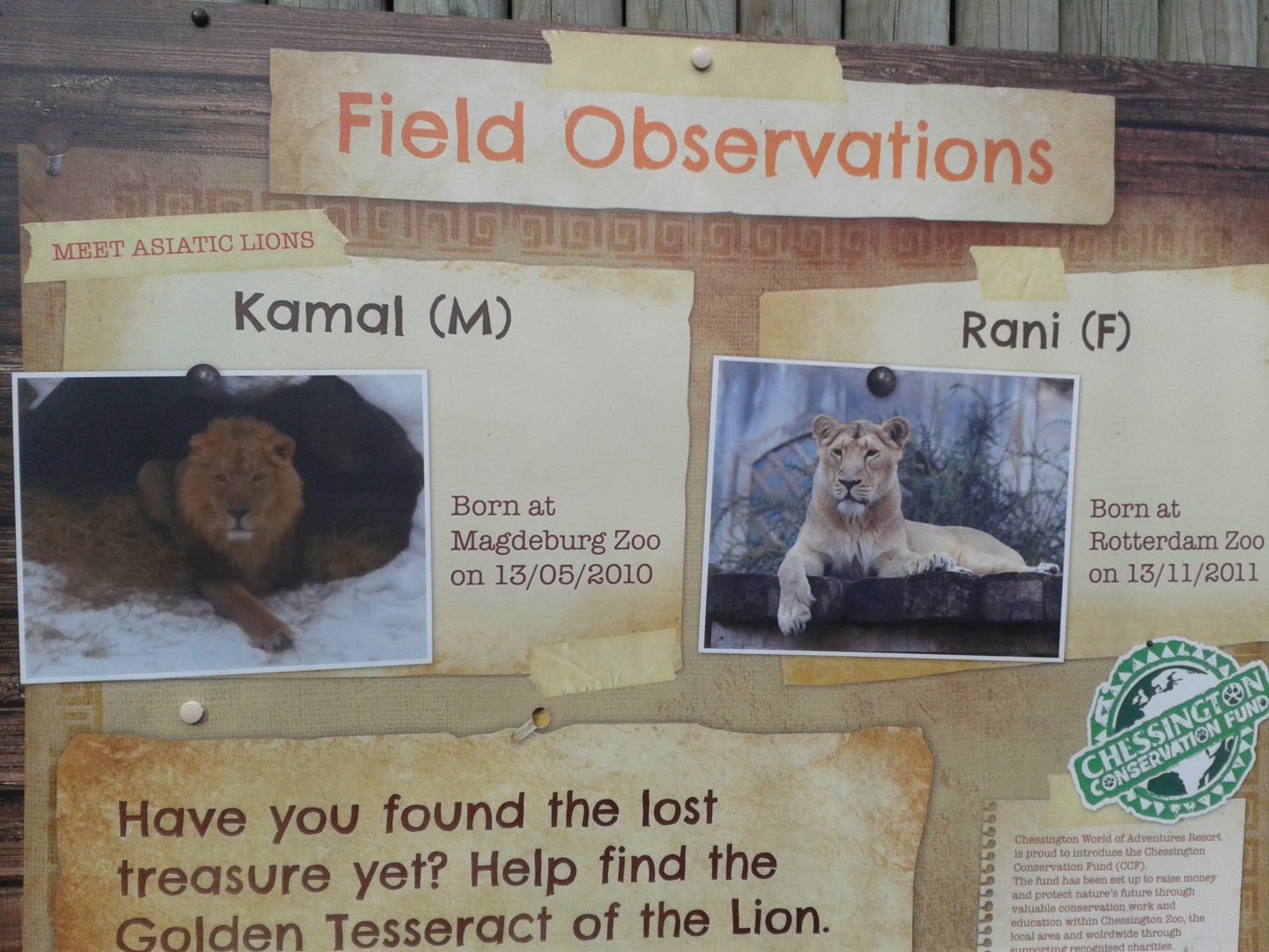 Asiatic Lion signage