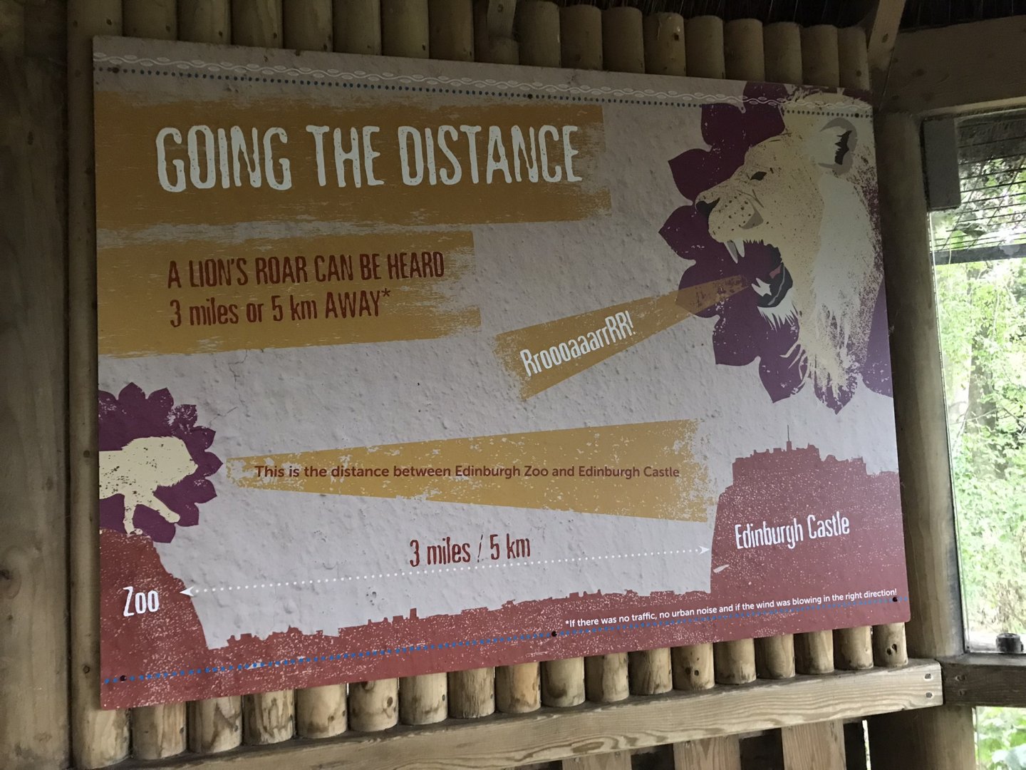 Asiatic lion signage