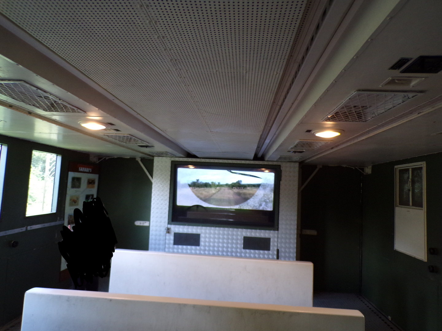 Asiatic lion viewing area- Safari truck simulation 13.7.23