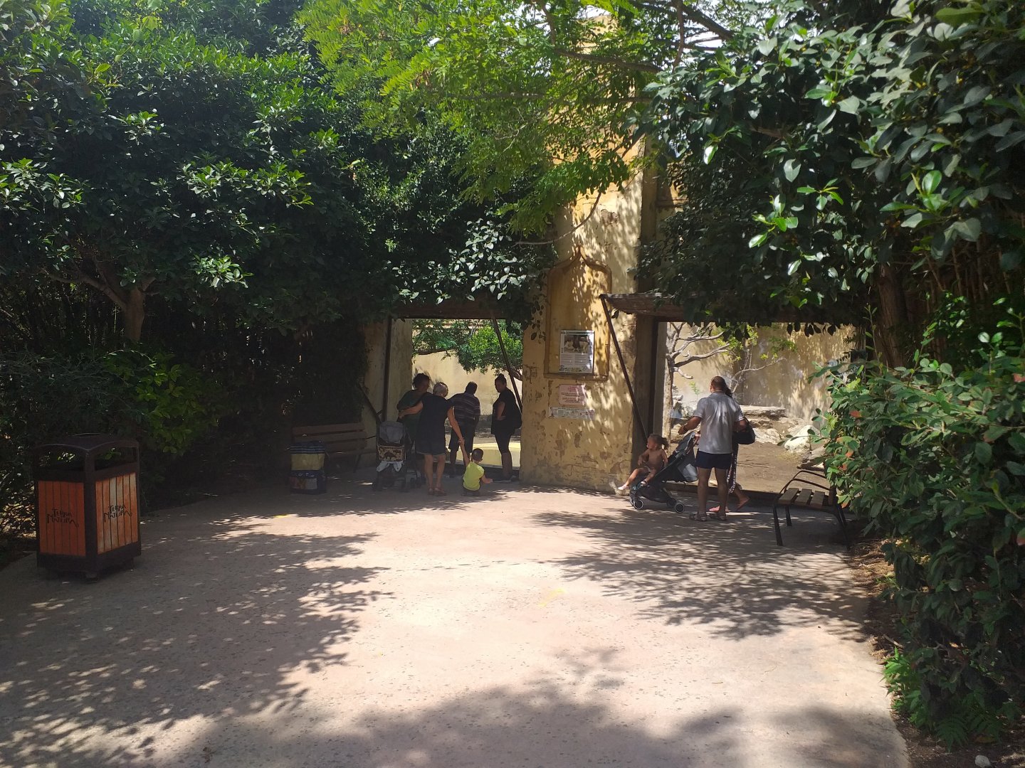 Asiatic lion viewing area -TerraNatura Benidorm (2021)