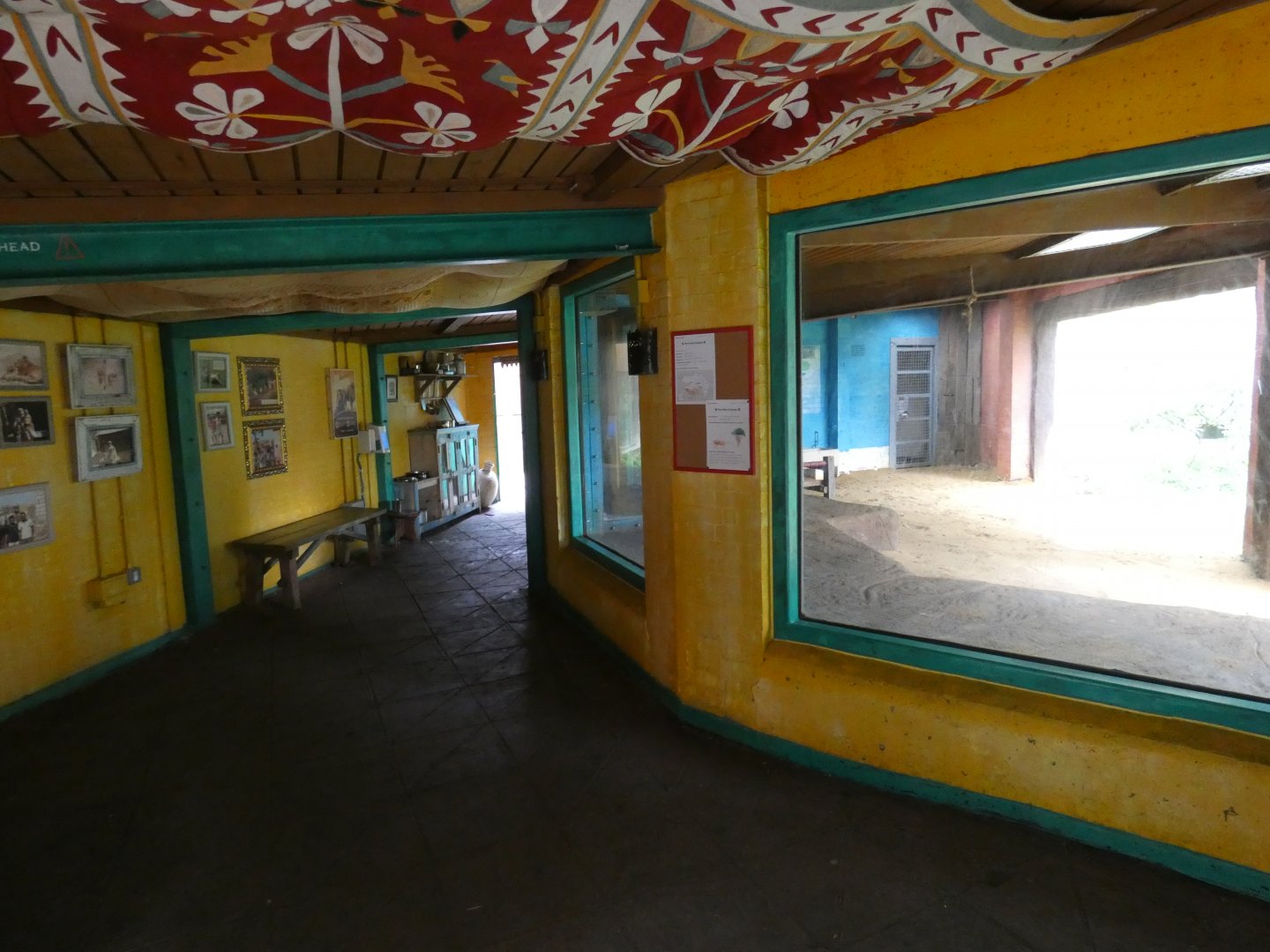 Asiatic lion viewing area