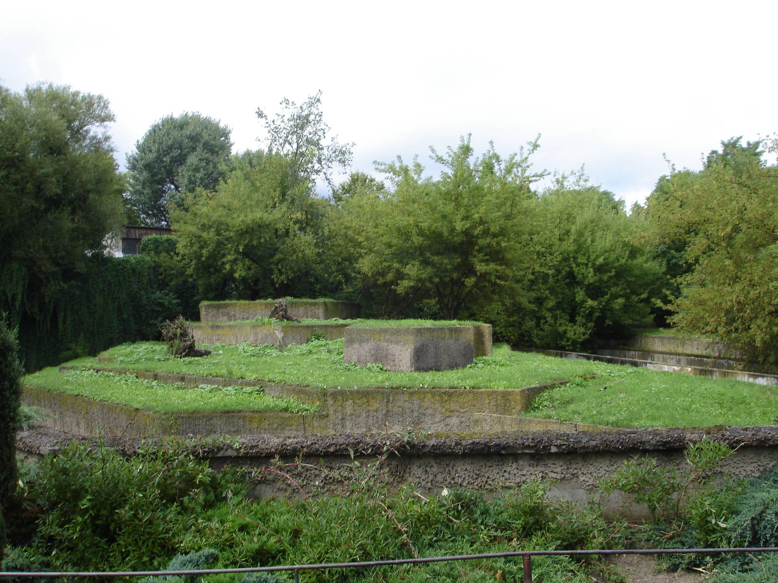 Asiatic lions exhibit
