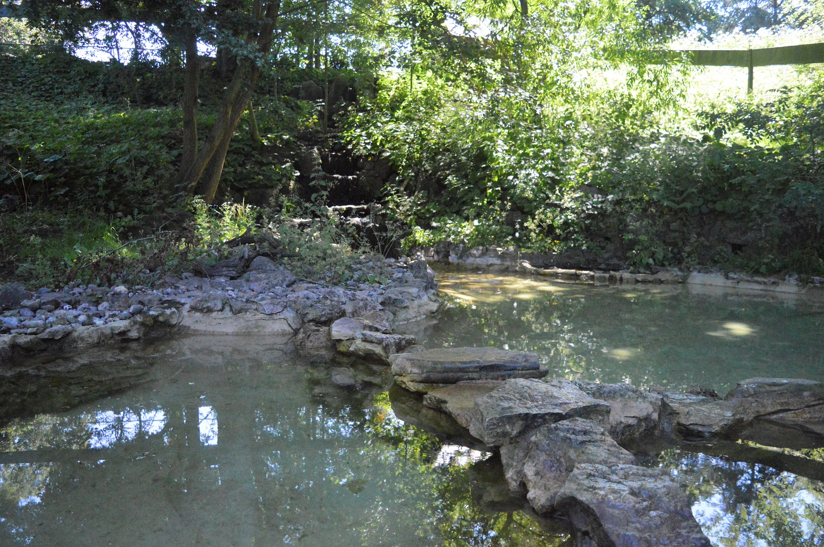 Asiatic short-clawed otter enclosure