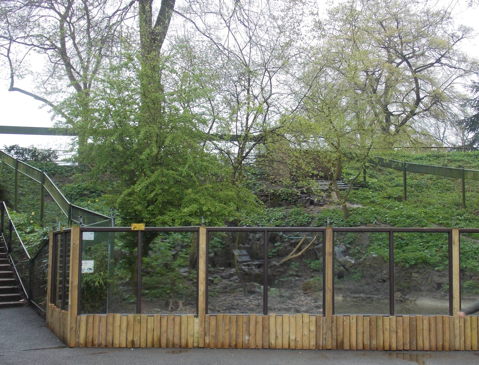 Asiatic Short-Clawed Otter exhibit