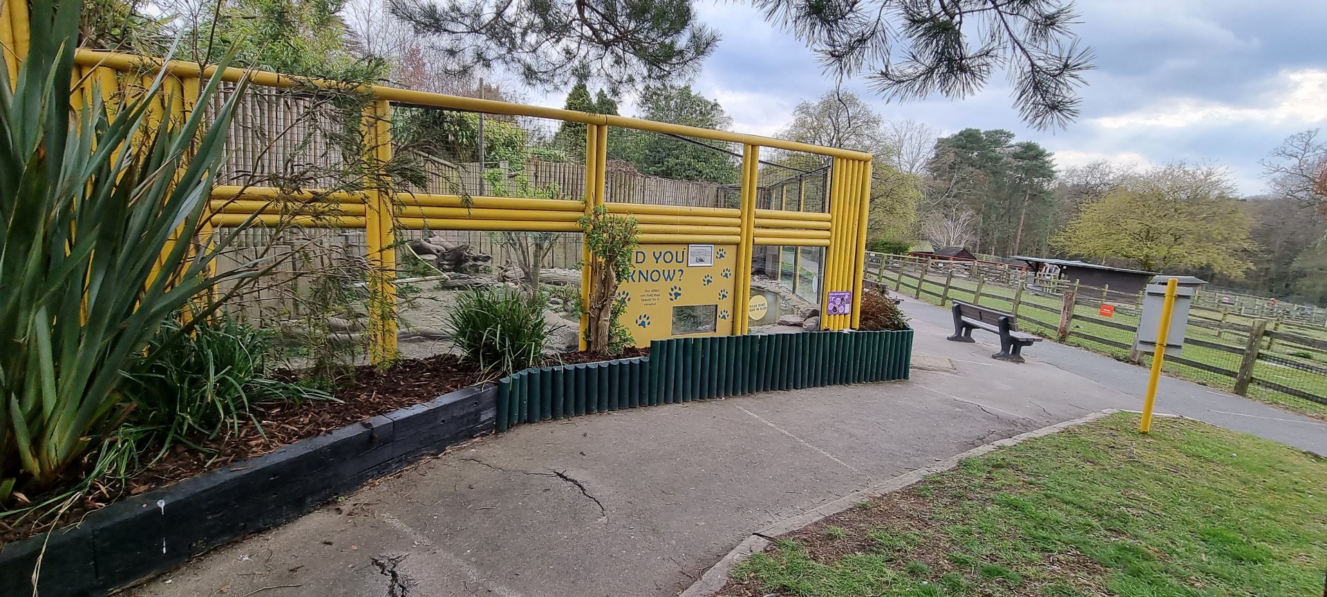 Asiatic Short clawed otter exhibit