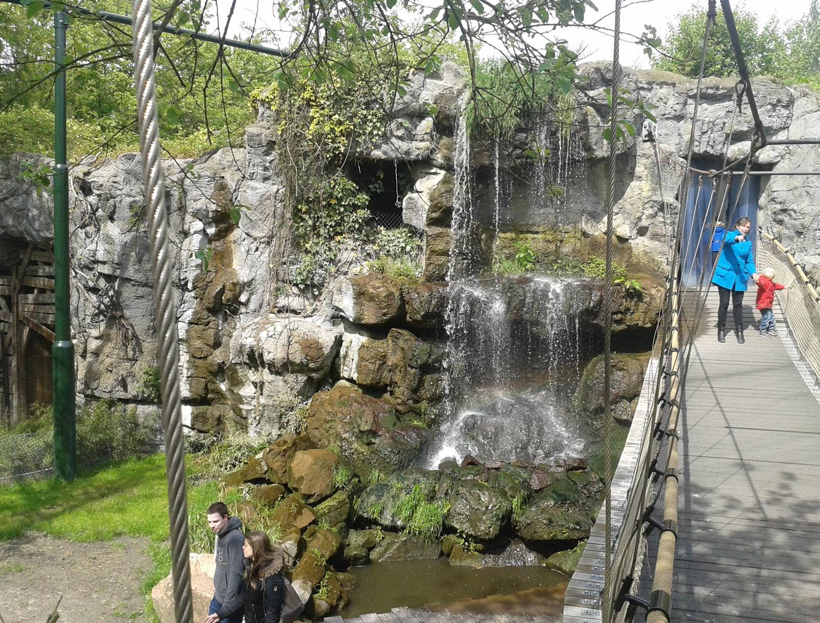 Asiatic wetland walk-through aviary