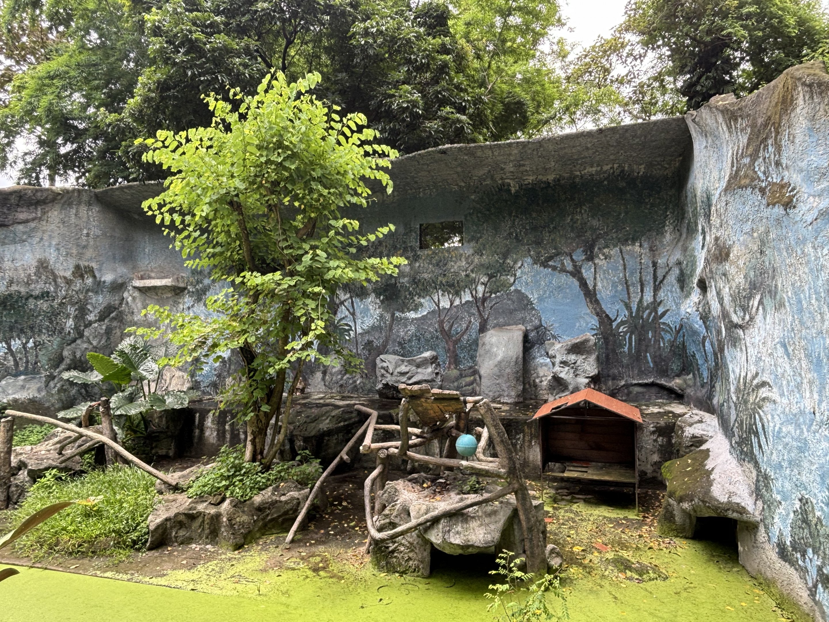 Assam Macaque Exhibit - appeared empty