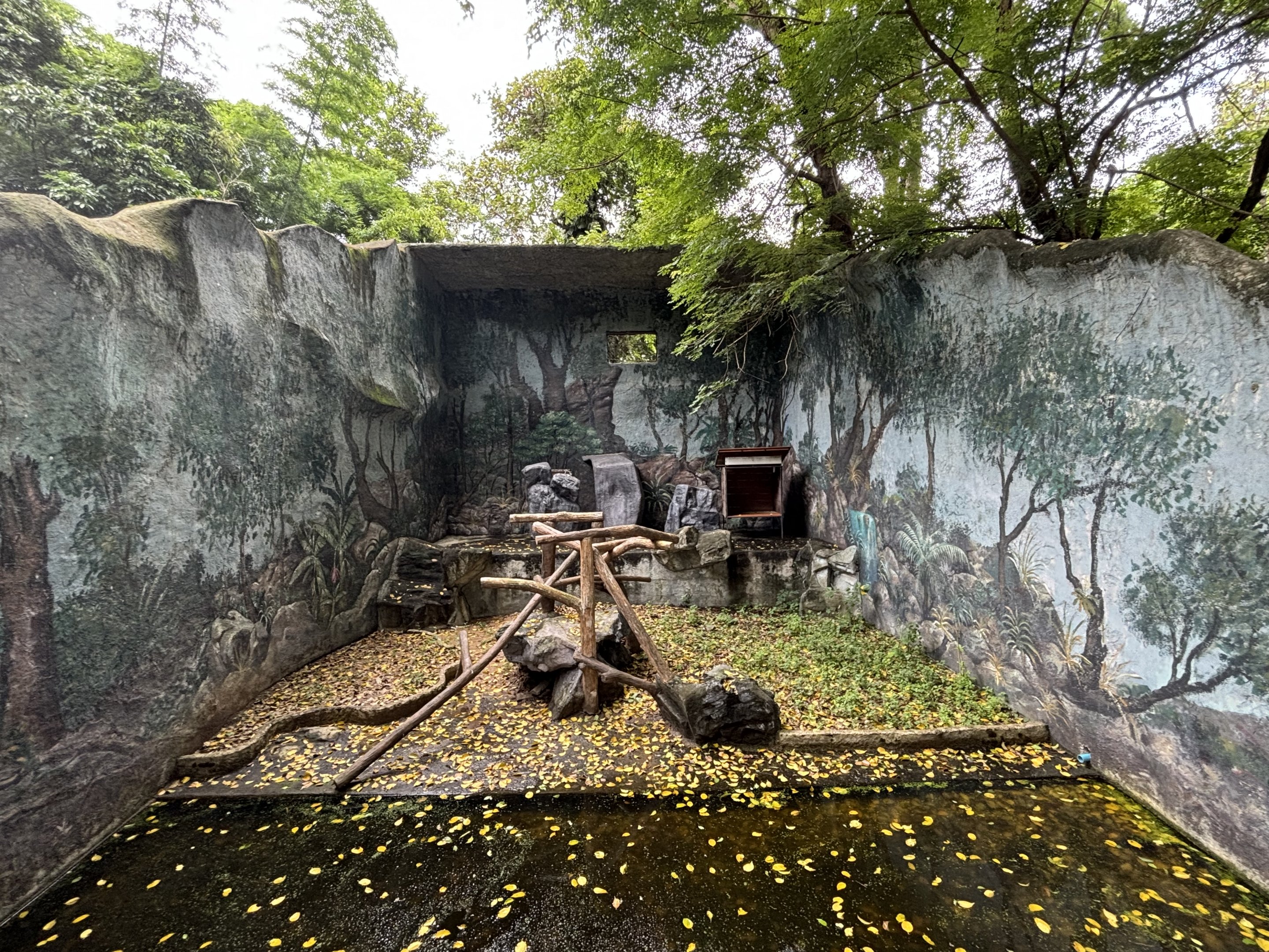 Assam Macaque Exhibit - appeared empty