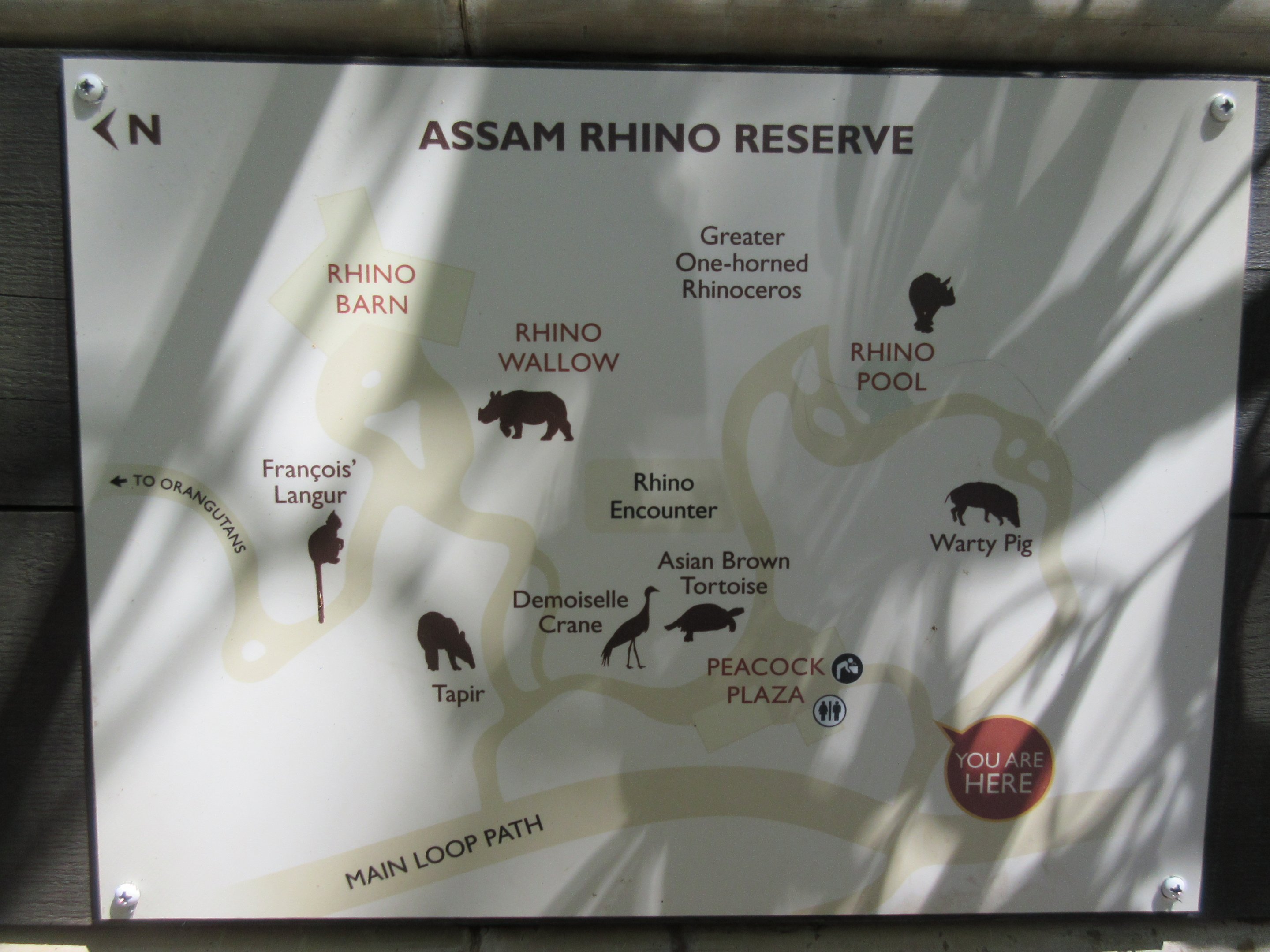 Assam Rhino Reserve: Map (New in 2018)
