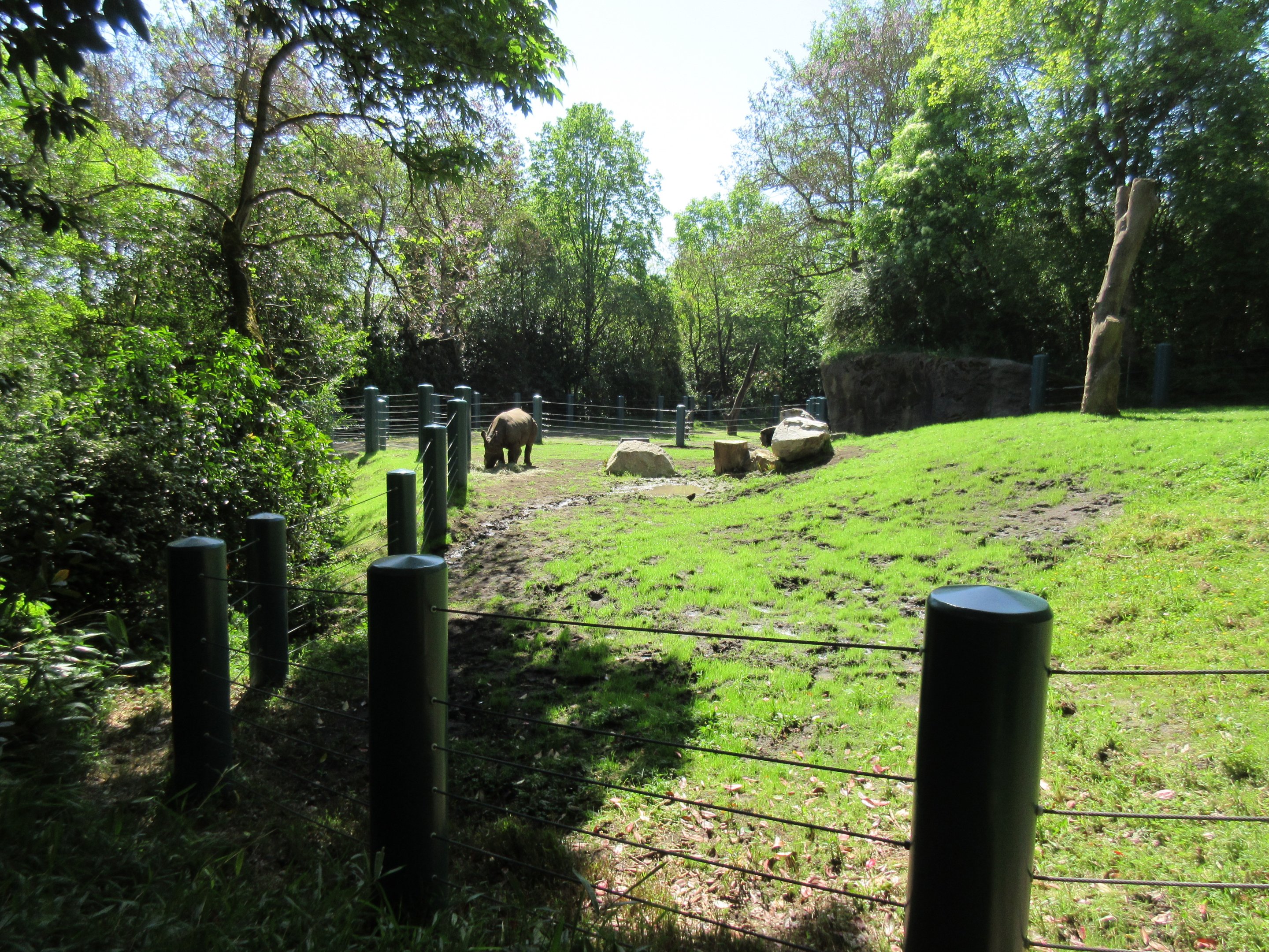 Assam Rhino Reserve (old elephant enclosure)
