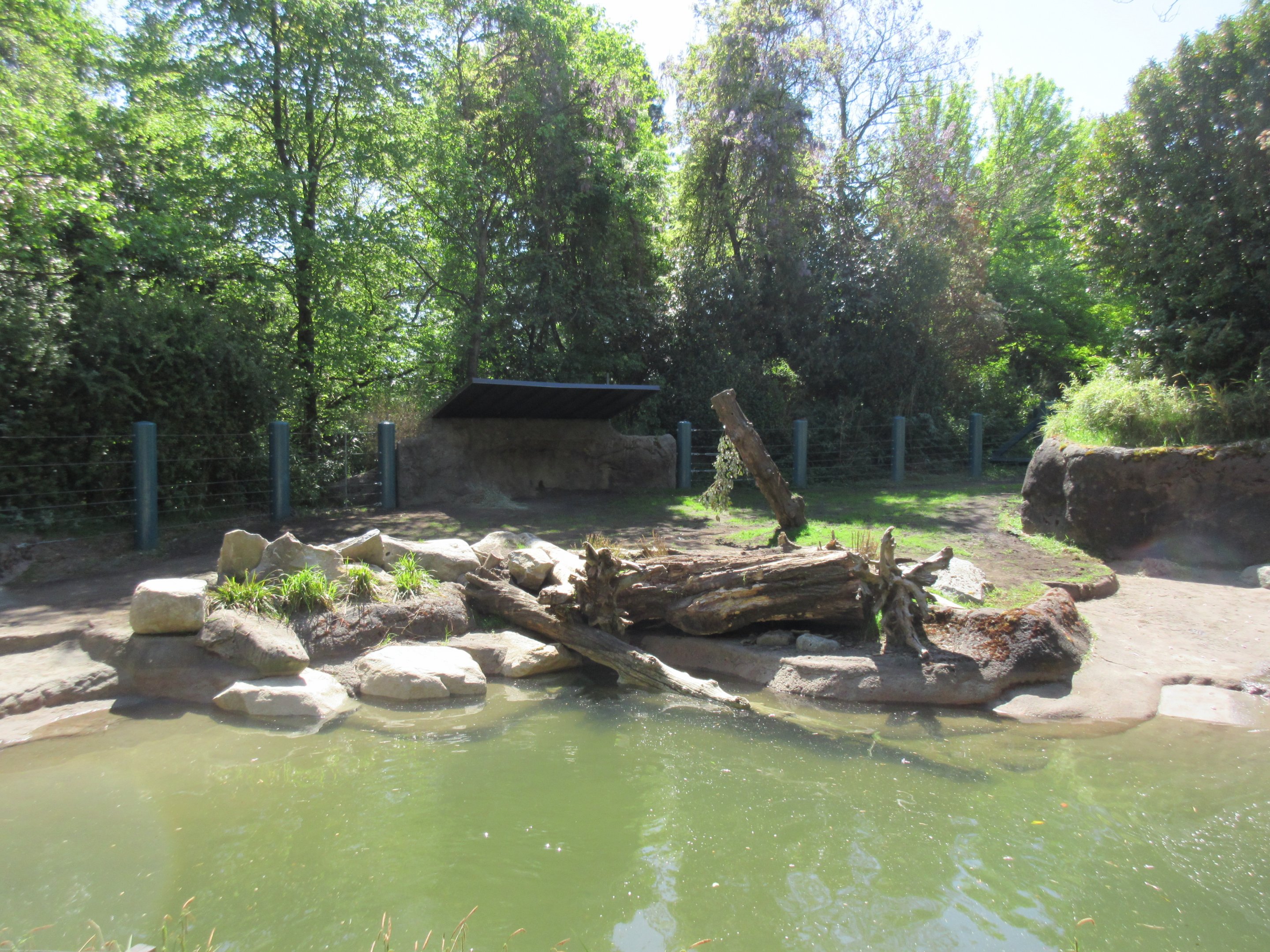 Assam Rhino Reserve (old elephant enclosure)