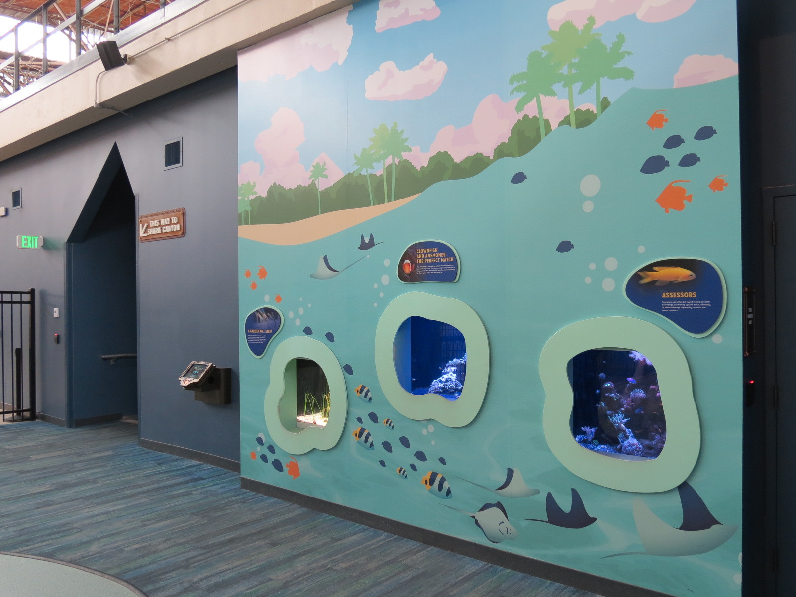 Assessor, Clownfish, and Garden Eel Exhibits