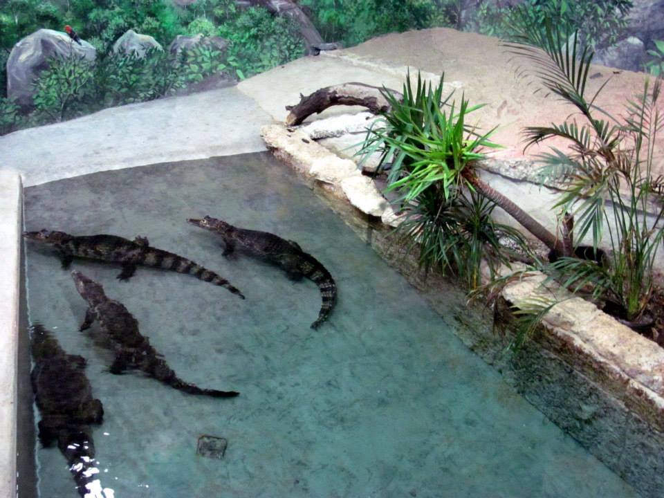 Assiniboine Park Zoo 05.2013