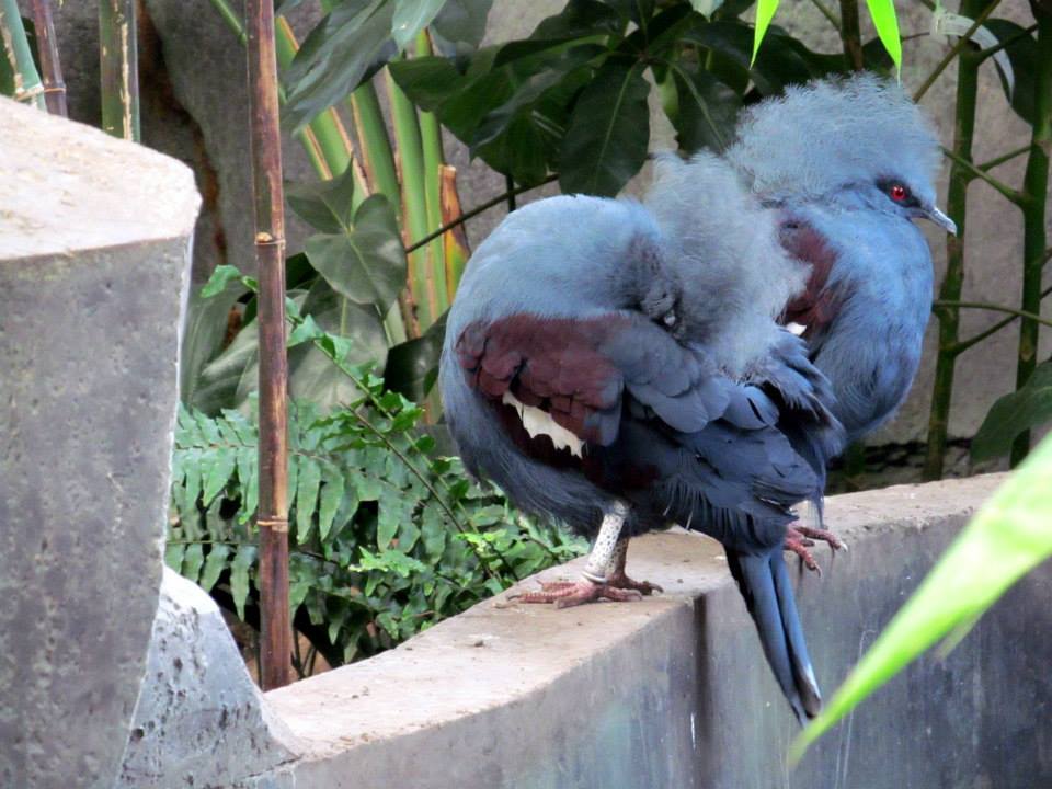Assiniboine Park Zoo 05.2013