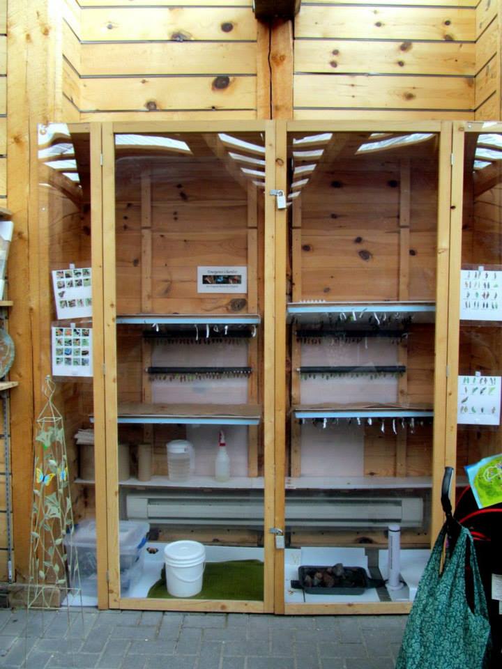 Assiniboine Park Zoo - july 2013