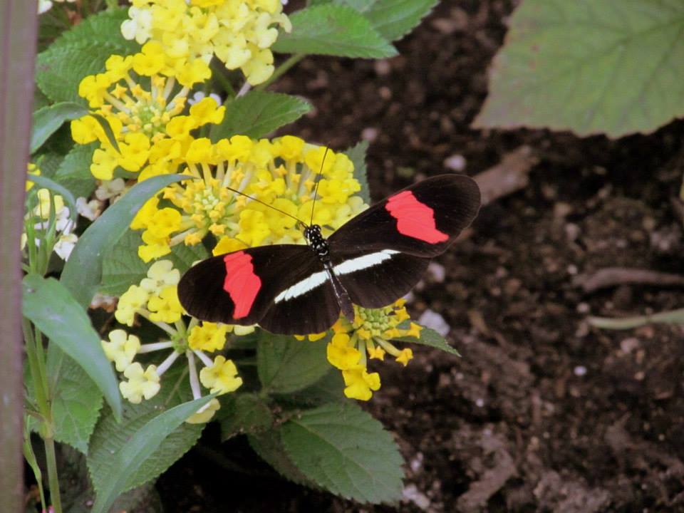 Assiniboine Park Zoo - july 2013