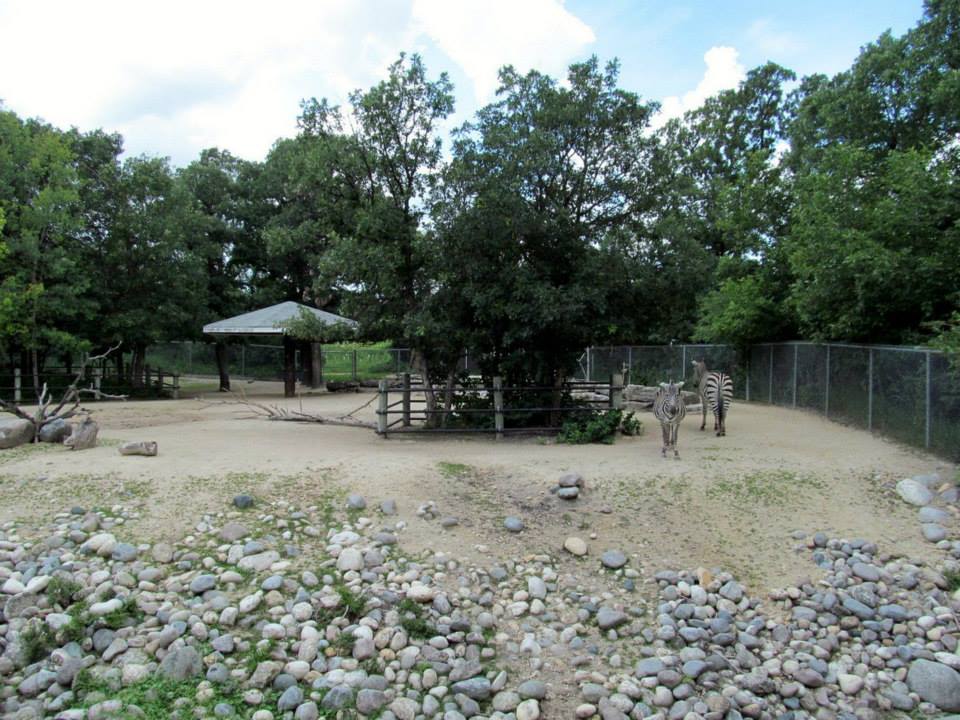 Assiniboine Park Zoo - july 2013