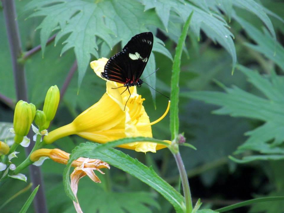 Assiniboine Park Zoo - july 2013
