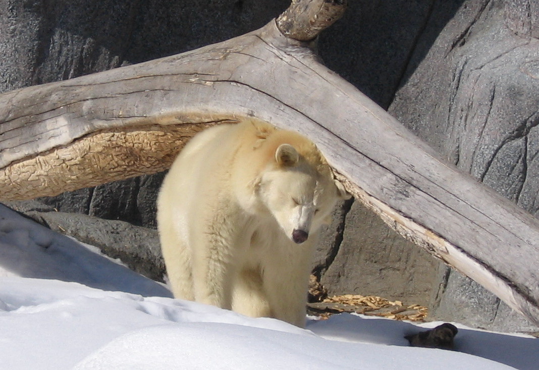 Assiniboine Park Zoo