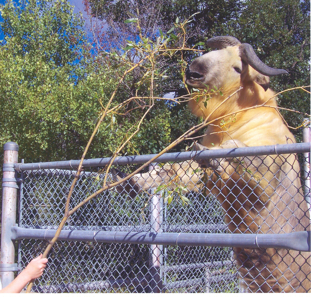 Assiniboine Park Zoo