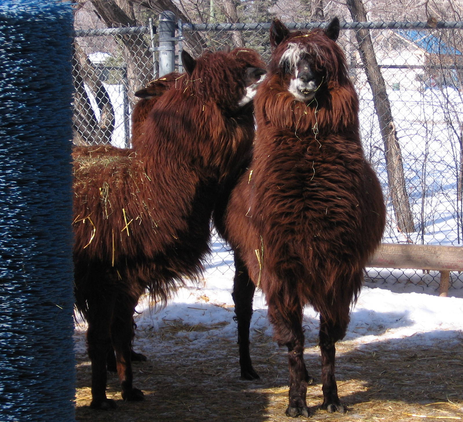 Assiniboine Park Zoo