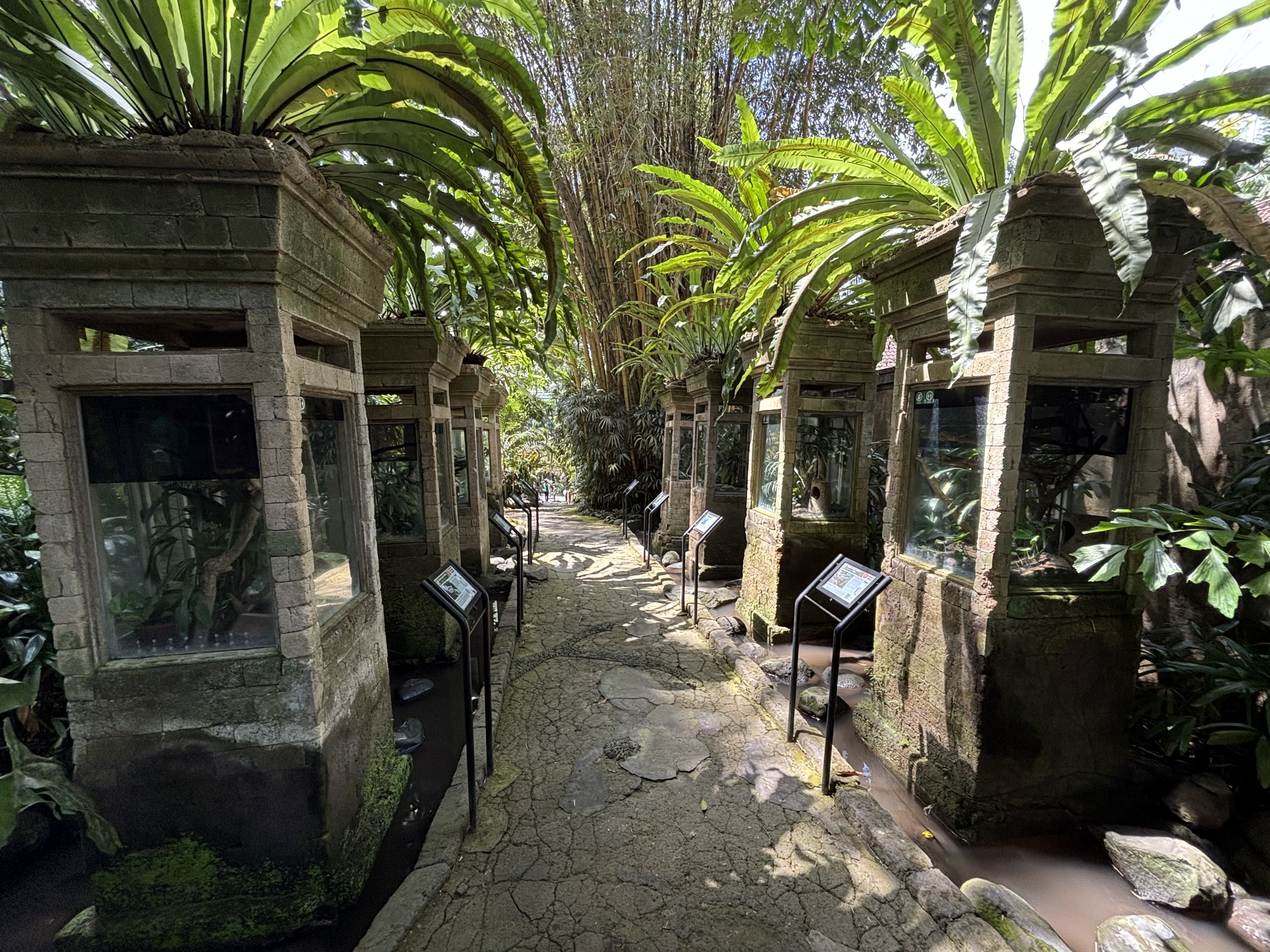 Assorted 8 Outdoor Terrariums