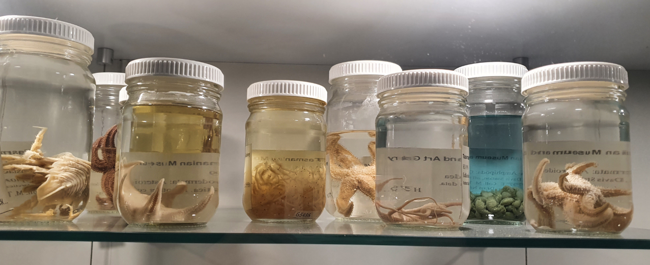 Assorted Antarctic Species - Tasmanian Museum and Art Gallery