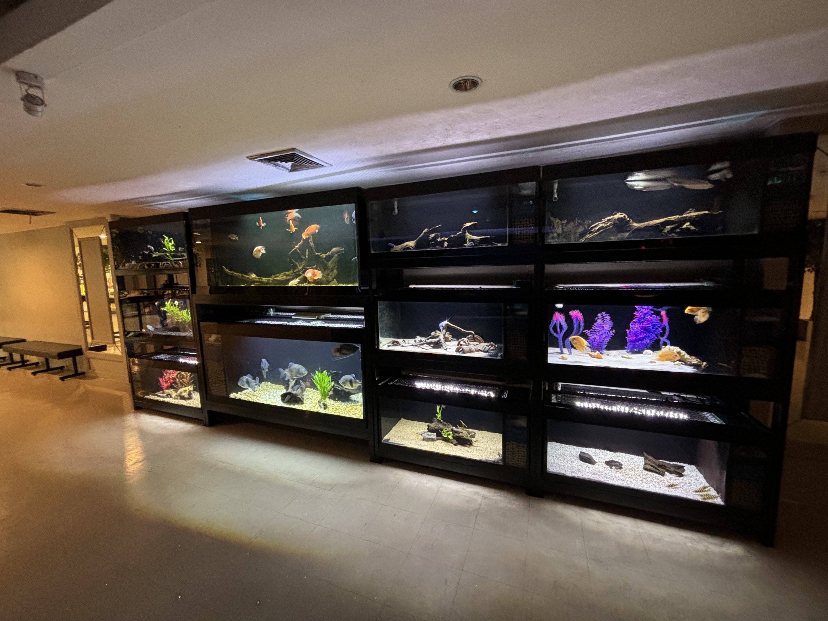 Assorted Aquarium Tanks
