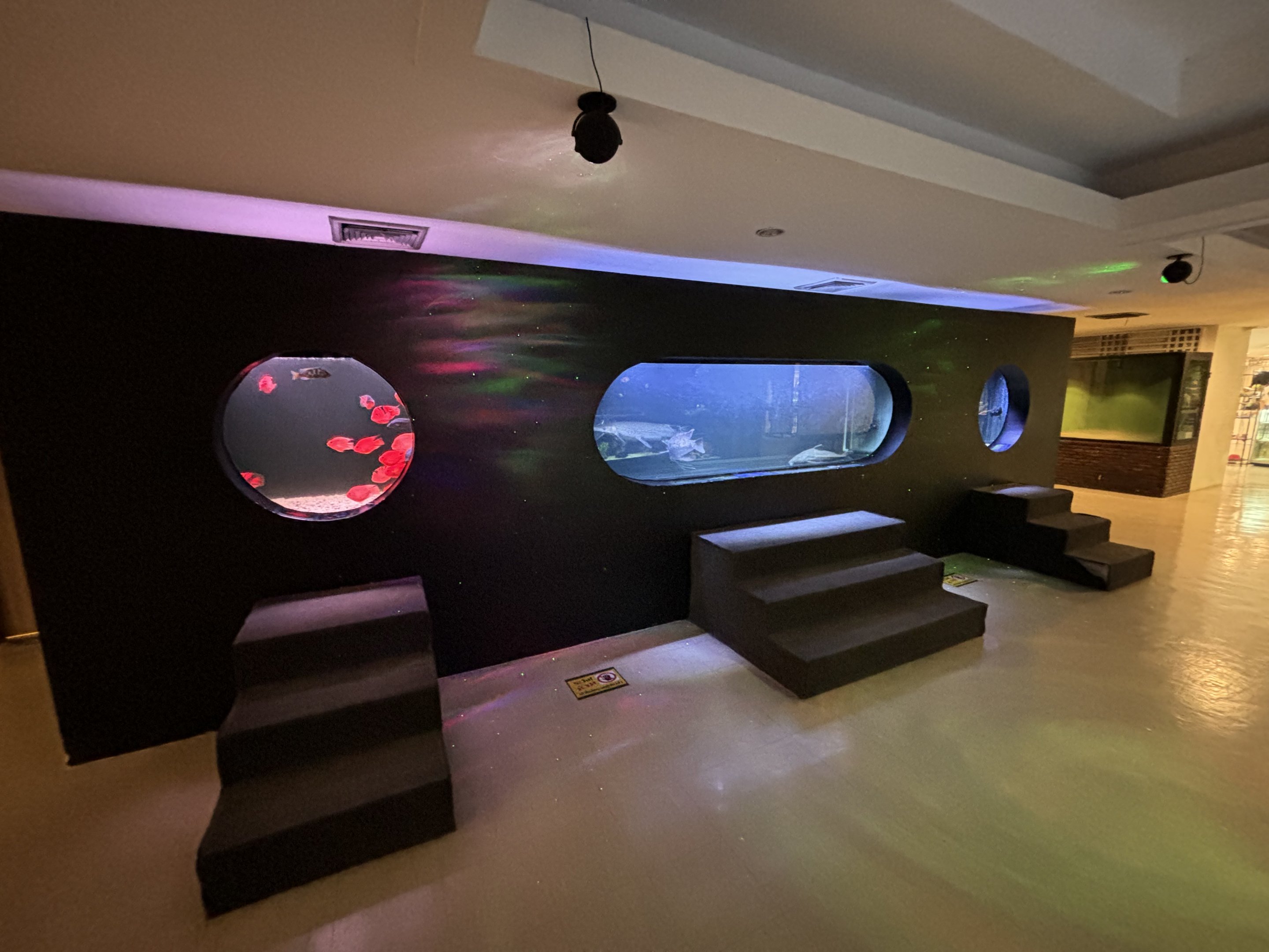 Assorted Aquarium Tanks