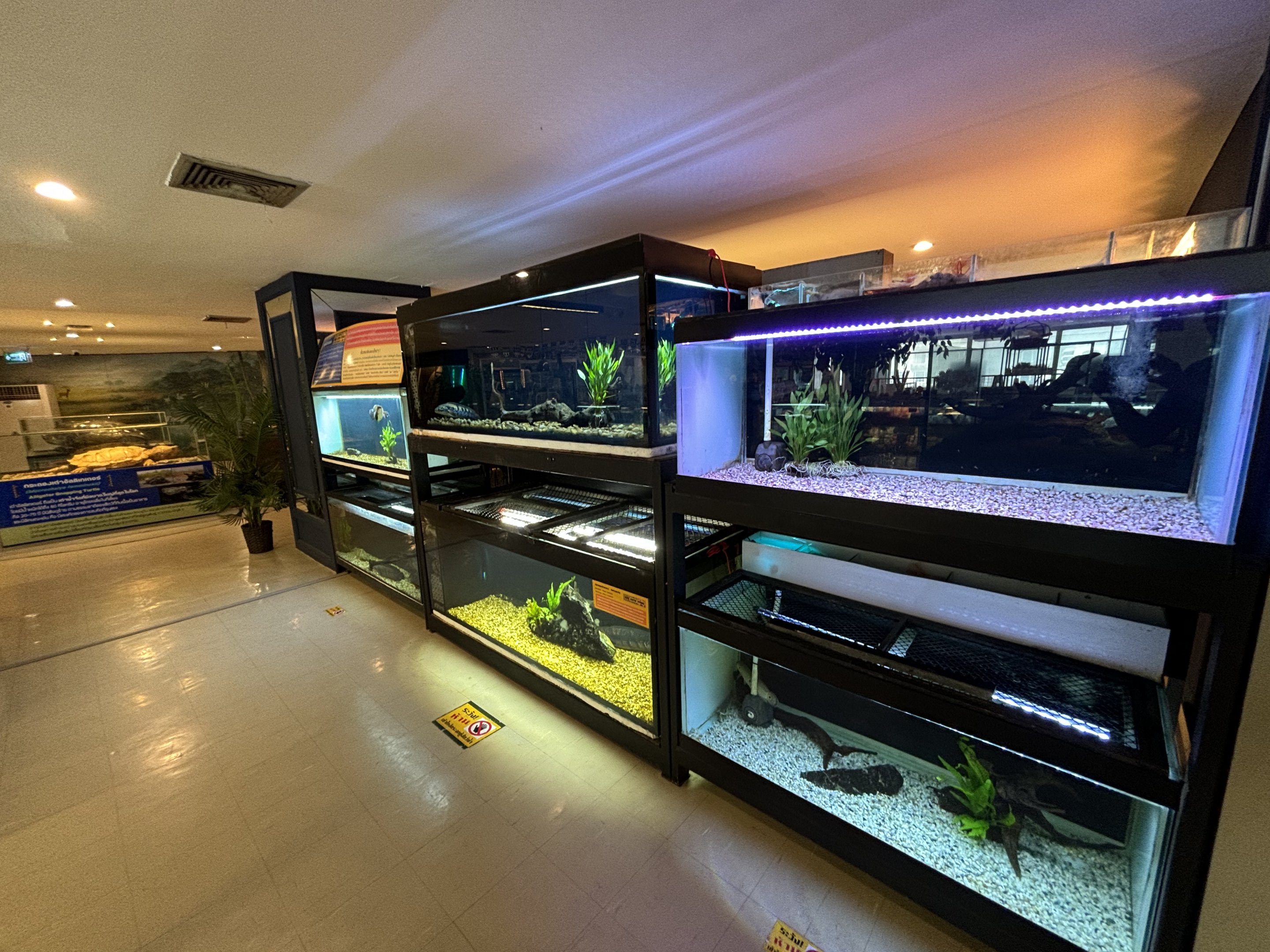 Assorted Aquarium Tanks