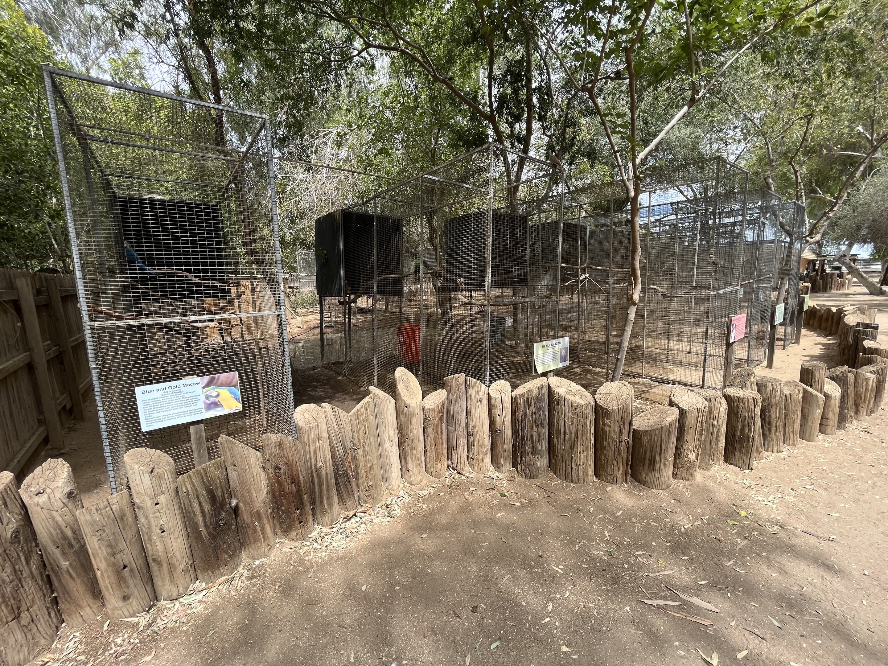 Assorted Aviaries (8 species)