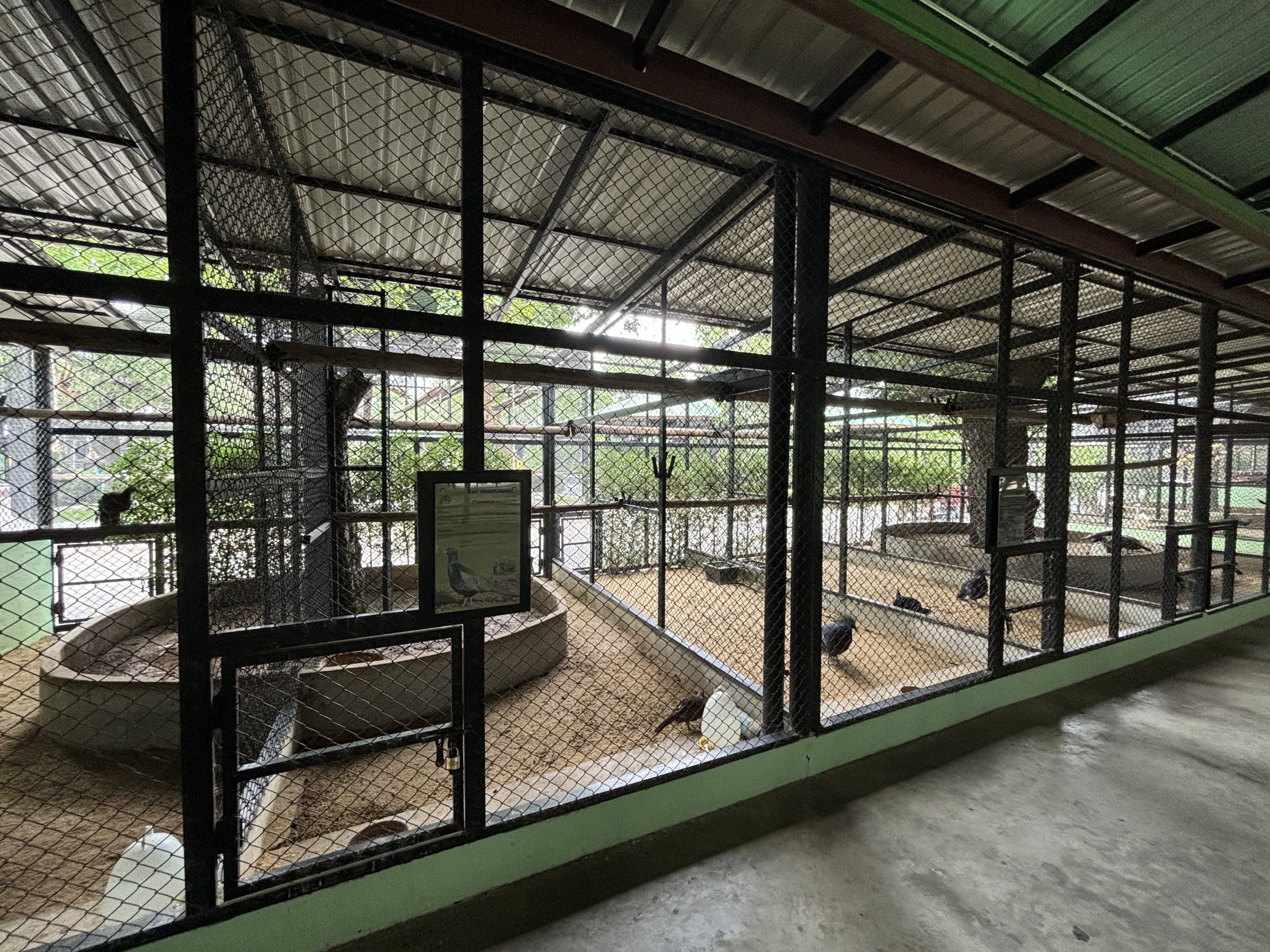 Assorted Aviaries - Lion Park