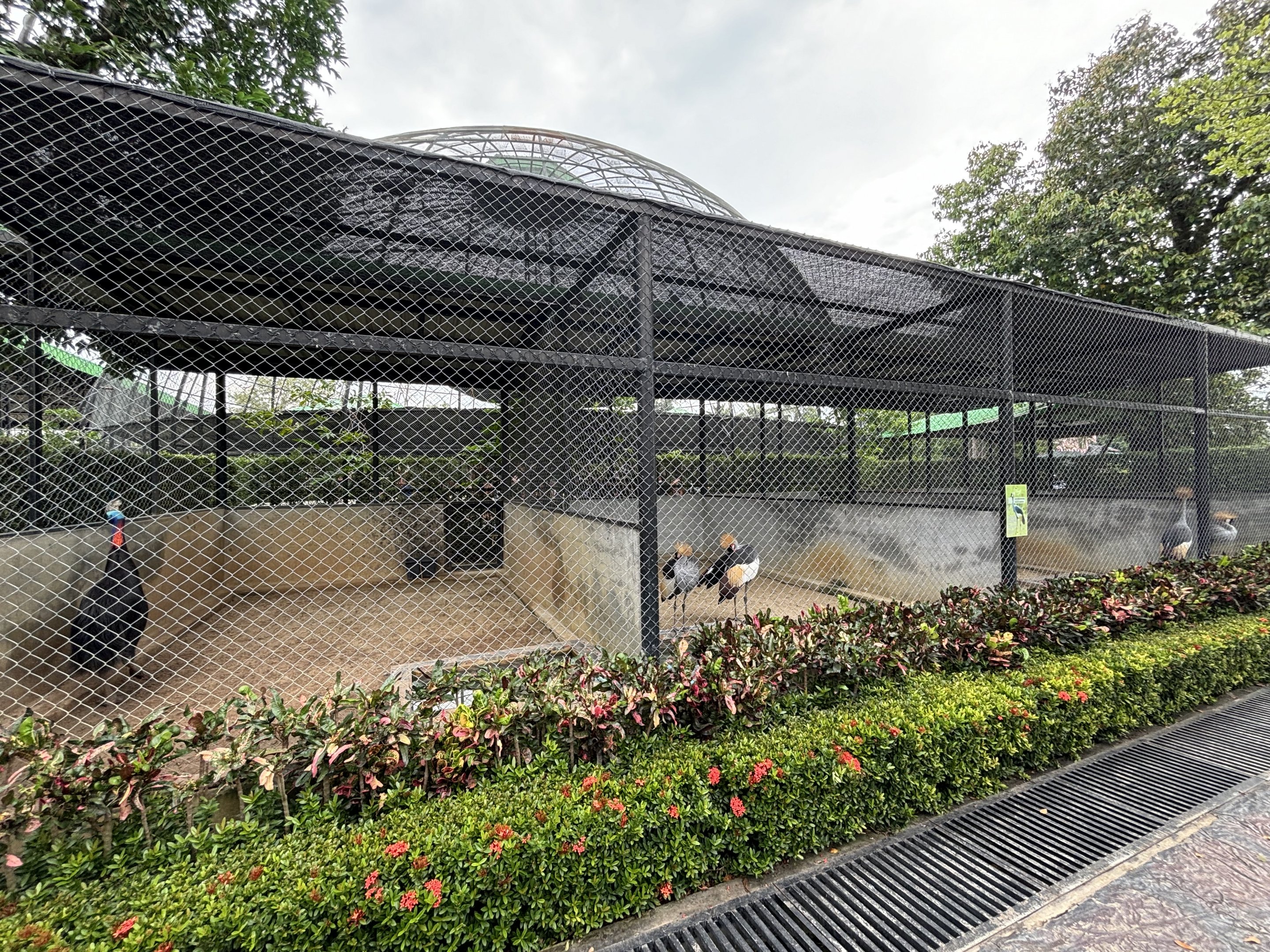 Assorted Aviaries - Lion Park