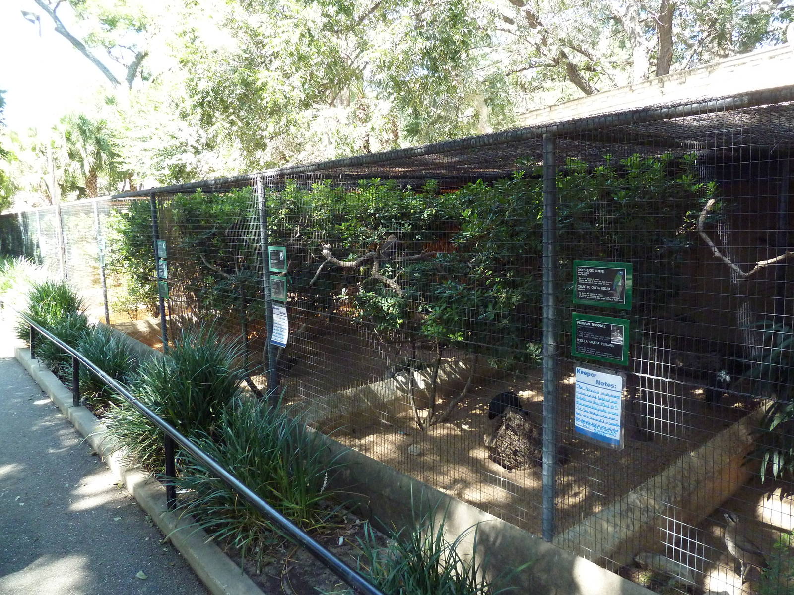 Assorted Aviaries
