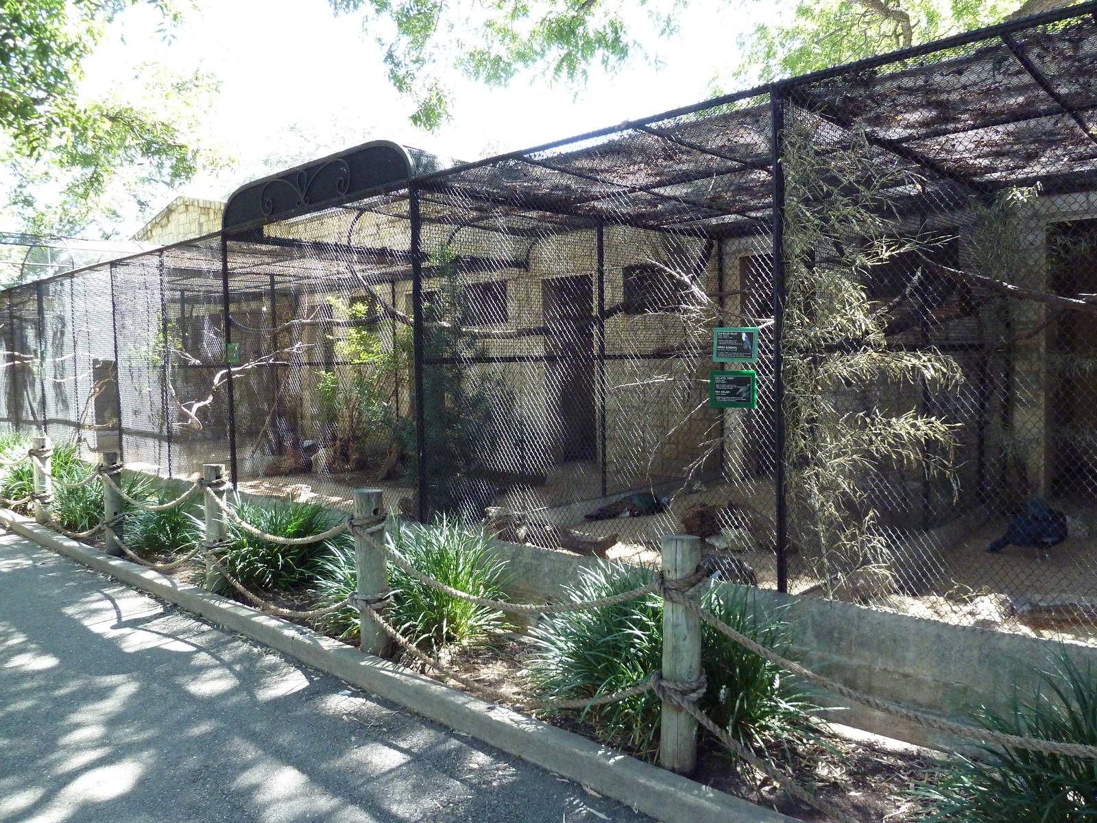 Assorted Aviaries