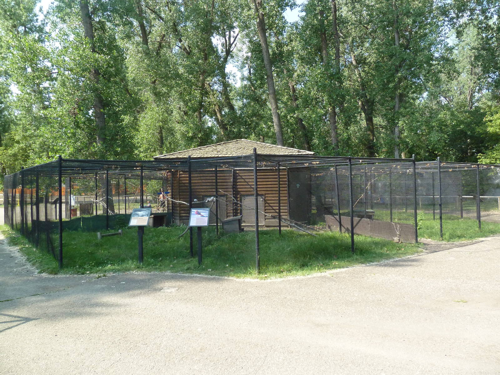 Assorted Aviaries