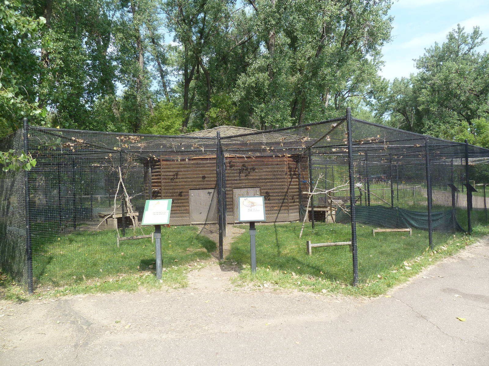 Assorted Aviaries