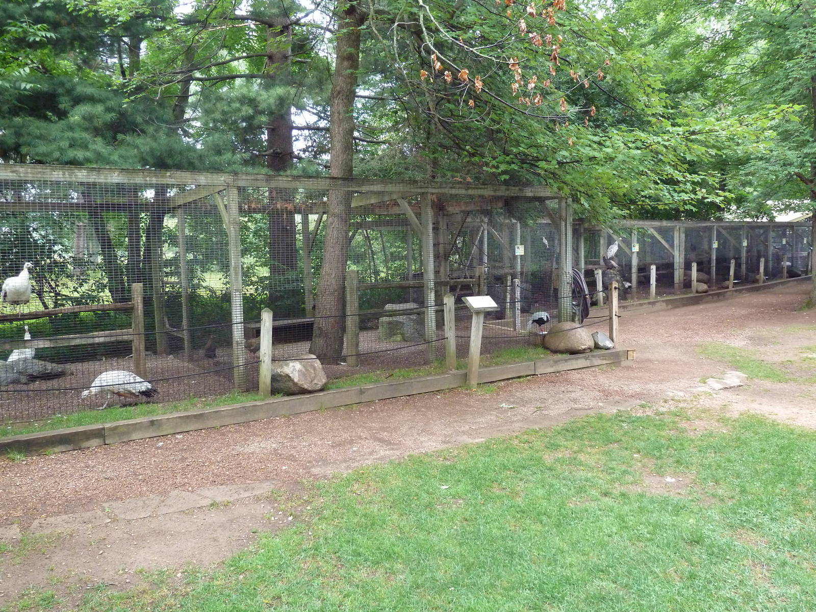 Assorted Aviaries