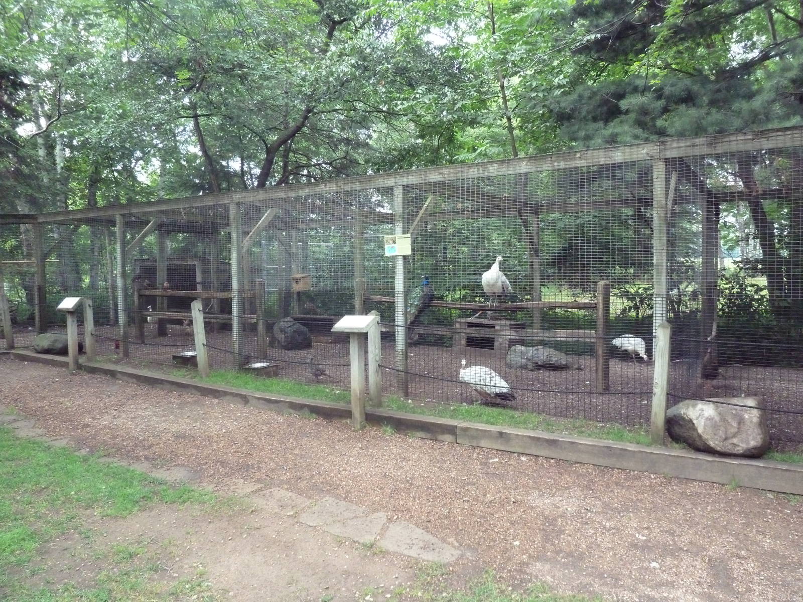 Assorted Aviaries