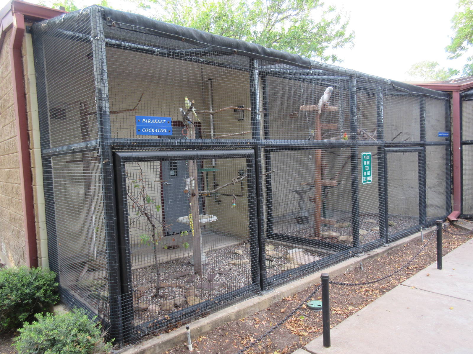 Assorted Aviaries