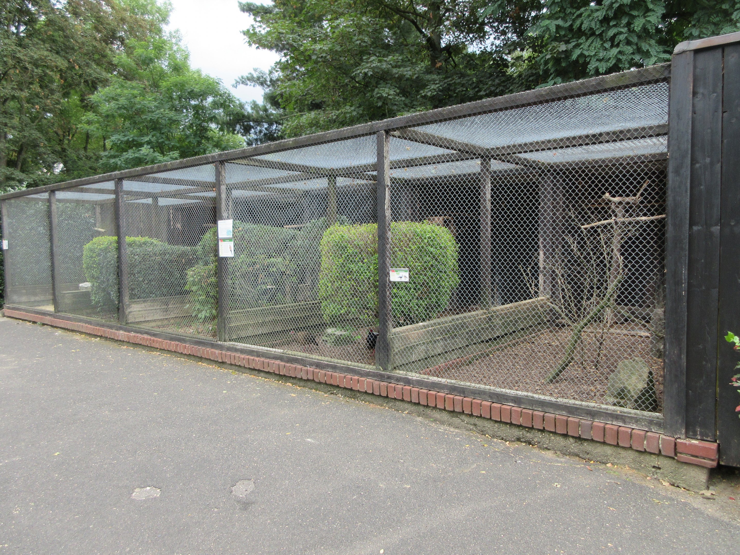 Assorted Aviaries
