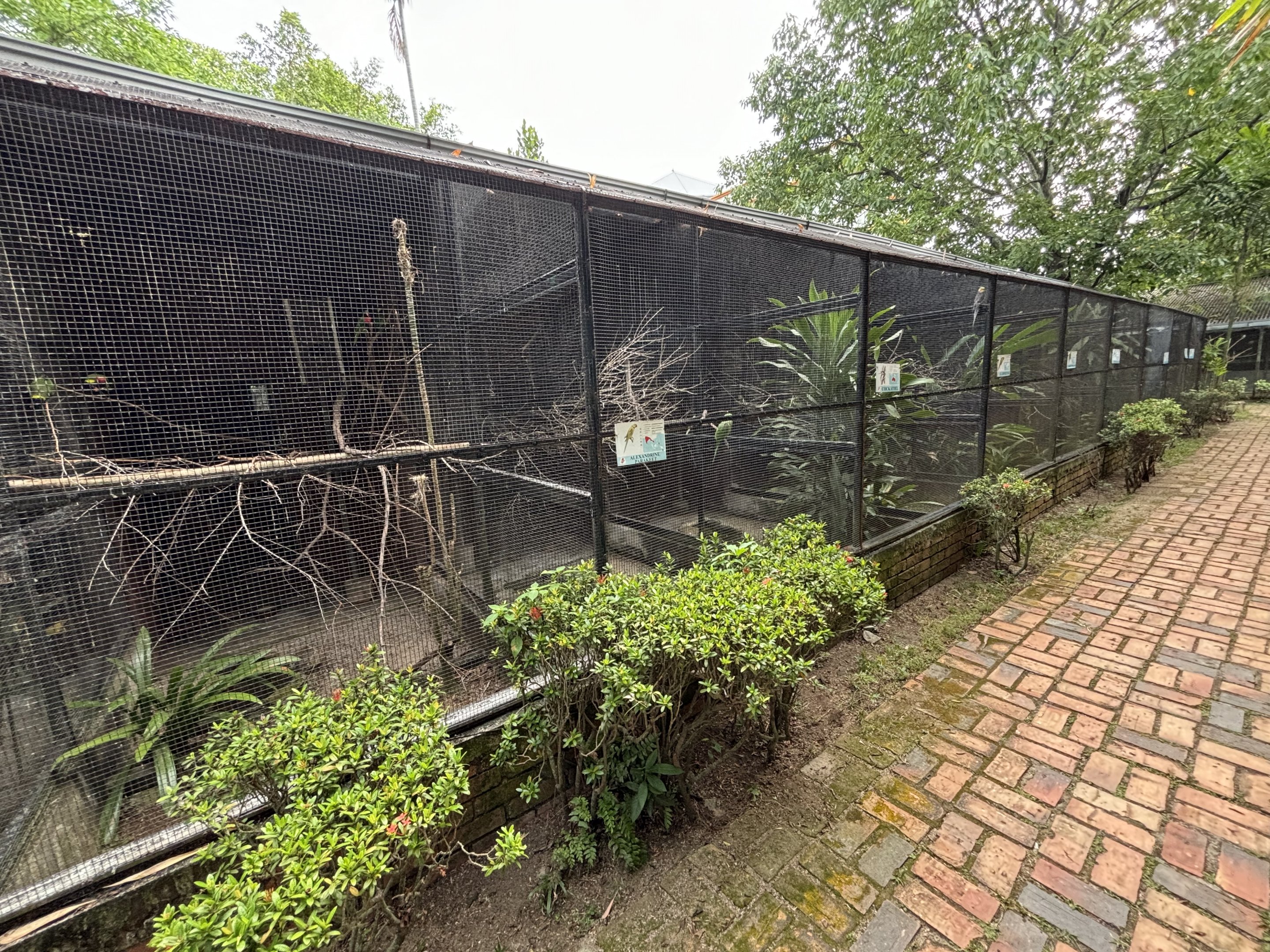 Assorted Aviaries