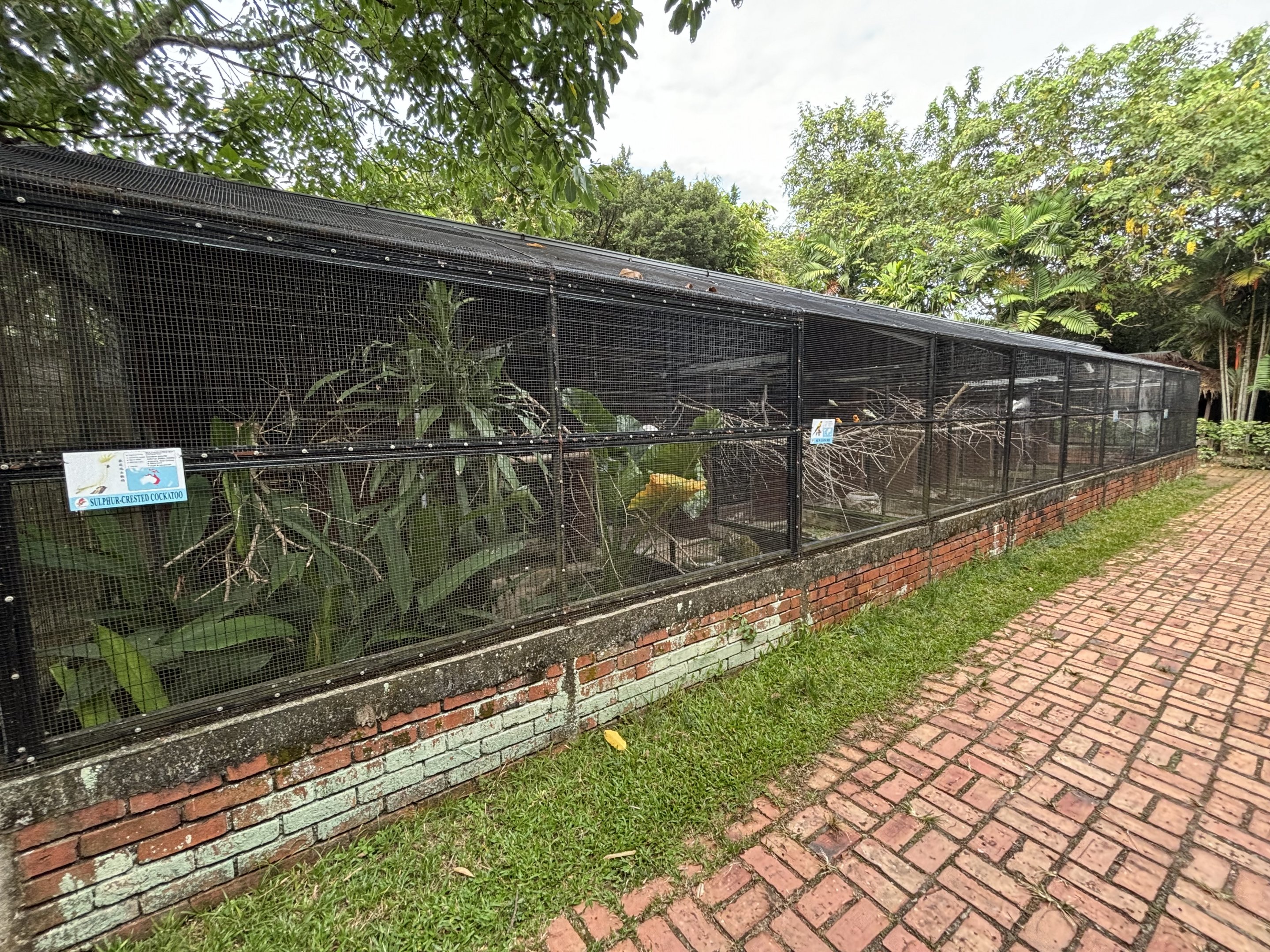 Assorted Aviaries