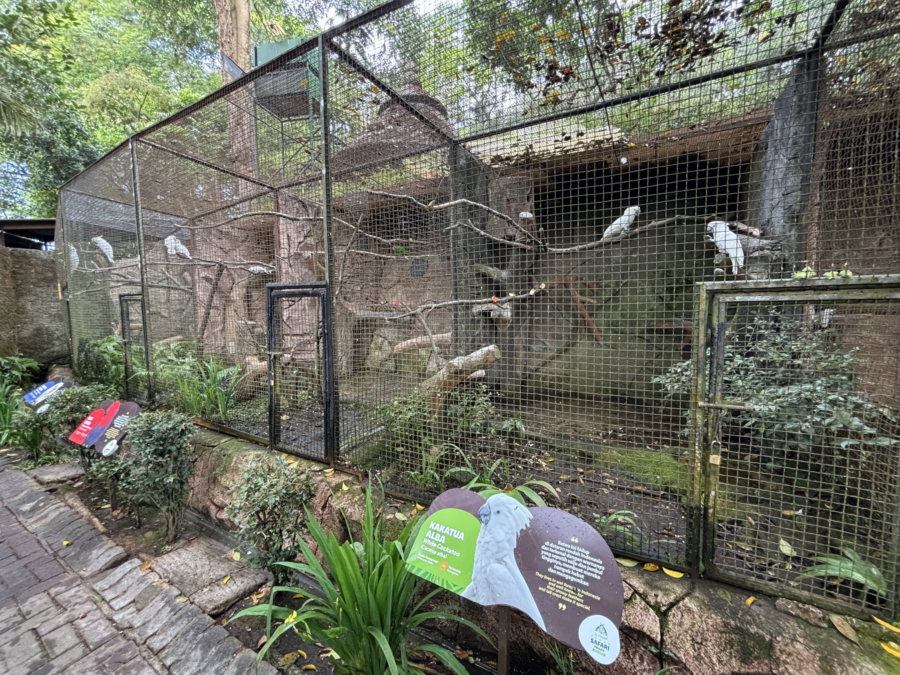Assorted Aviaries