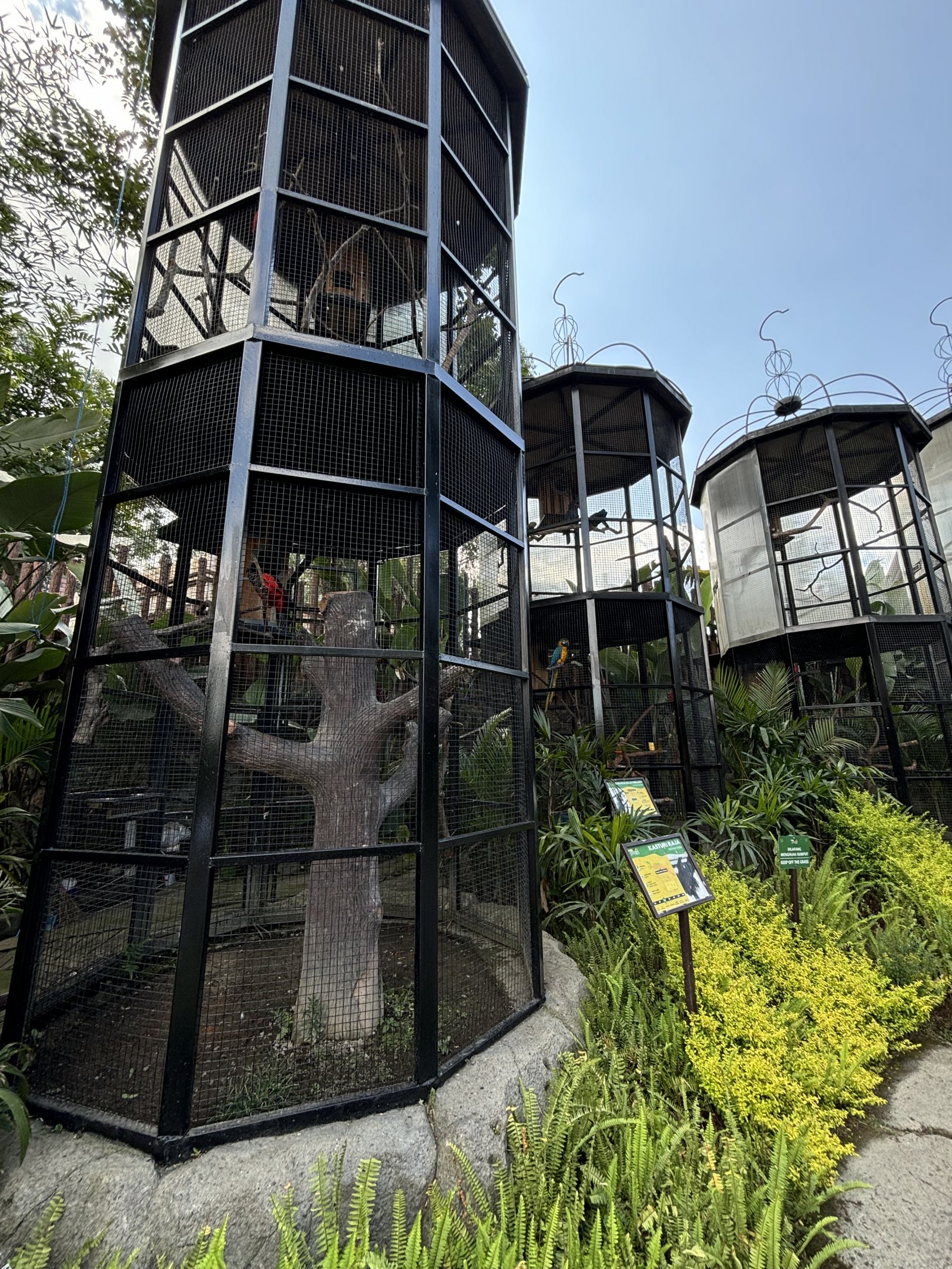 Assorted Aviaries