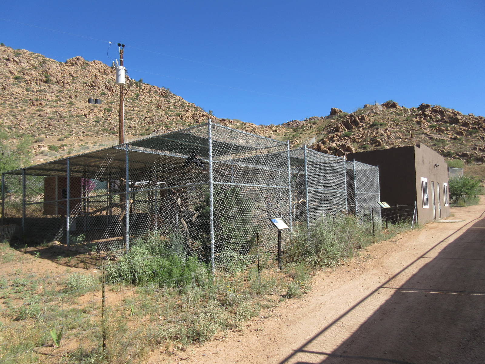 Assorted Bird Aviaries (7 Species)