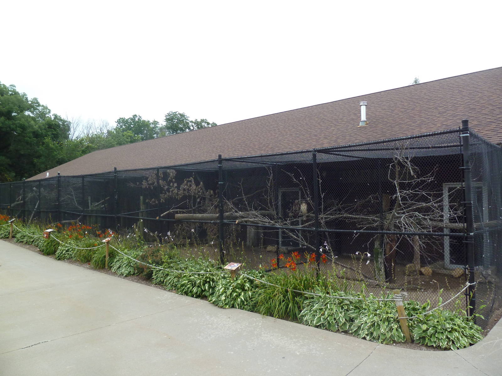 Assorted Bird Aviaries