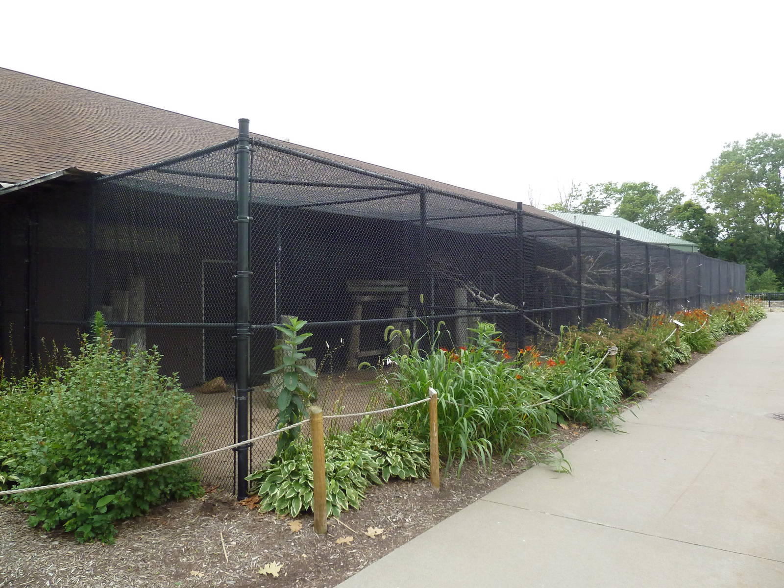 Assorted Bird Aviaries