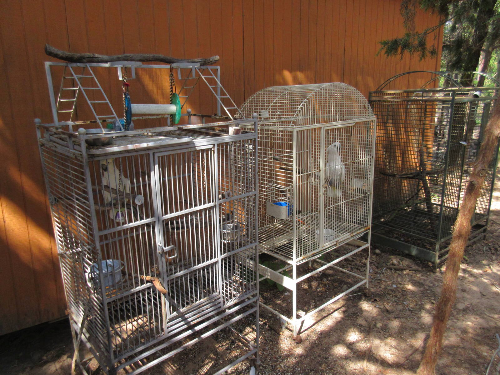 Assorted Bird Cages